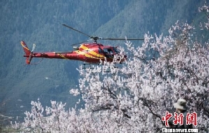 西藏林芝雅鲁藏布大峡谷开启空中观光模式