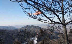 不畏狂风肆虐 山东航站成功处置沂源森林火灾