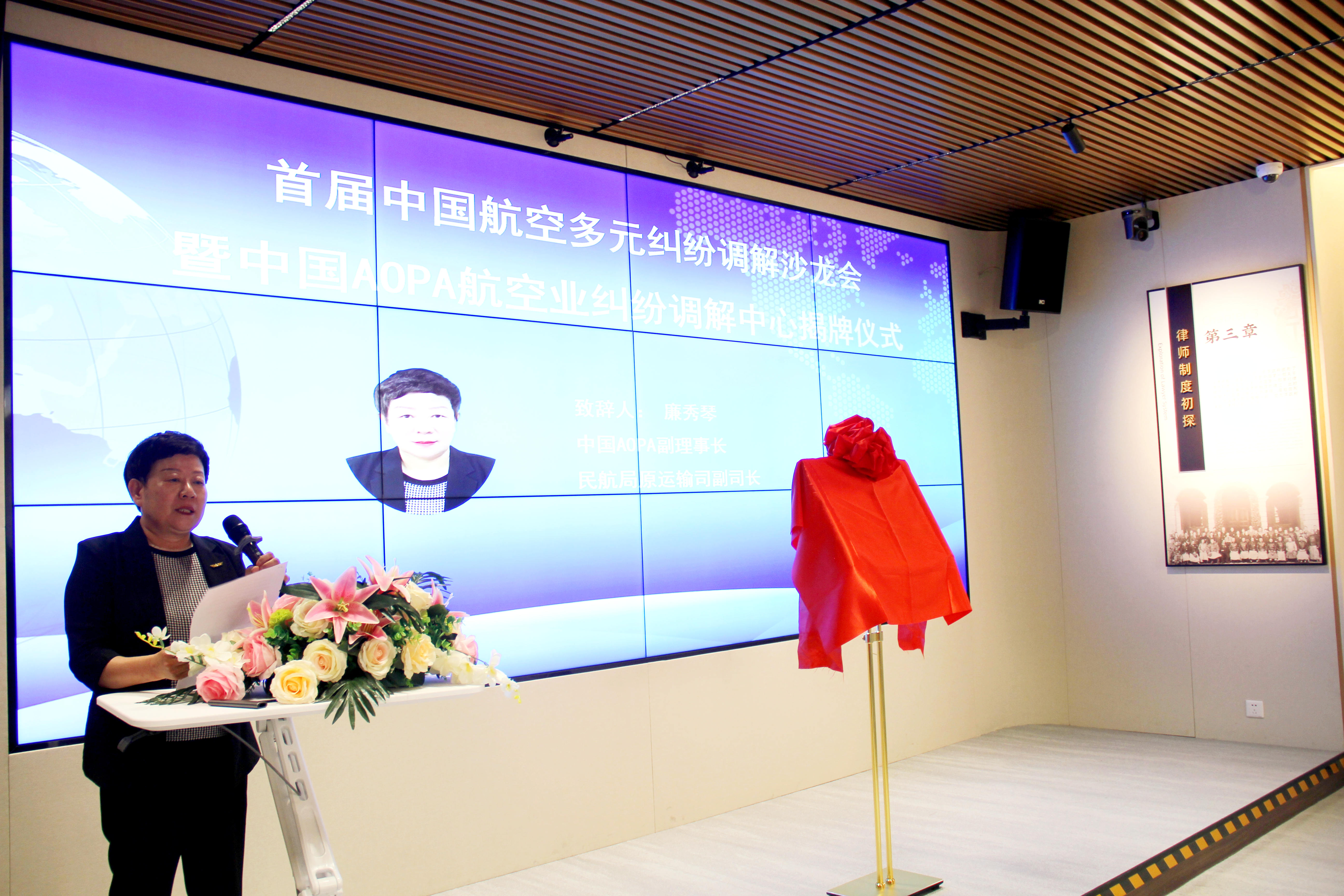 中国aopa副理事长,民航局原运输司副司长廉秀琴.jpg